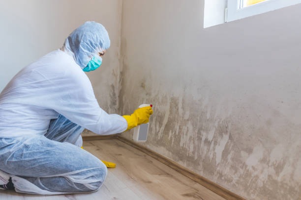 Crawl Space Mold Remediation treatment of floor joists in Sharon
