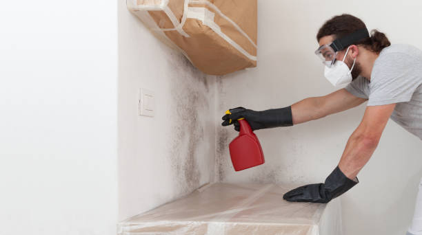 Attic Mold Remediation treatment on roof deck in Sharon